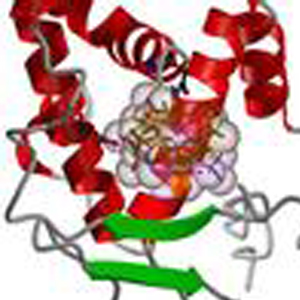 ligand2